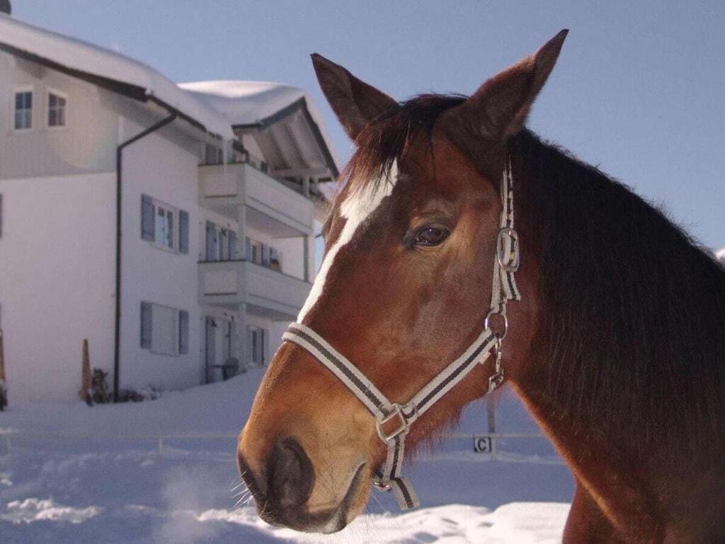 Gottesacker Comfortable Holiday Residence Riezlern Kültér fotó